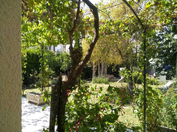 Une vue de la coloc côté terrasses et jardin